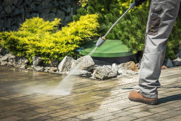 Best Winterizing Services  in Sunrise, FL
