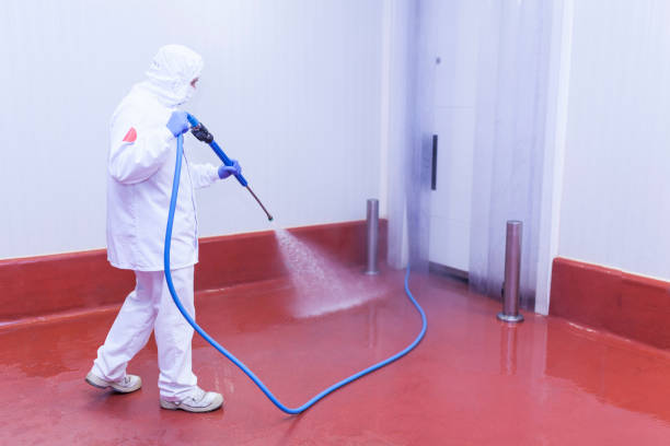 Best Spring Cleaning  in Sunrise, FL